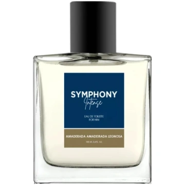 Vīriešu smaržas MELODY Symphony Intense Men EDT ae