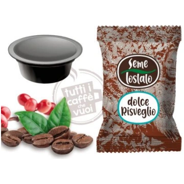 Capsule seme tostato dolce risveglio compatibili l