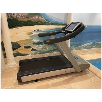 Technogym Excite Run 700 Wellness TV