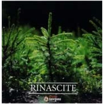 Rinascite