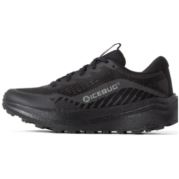10.5 Icebug