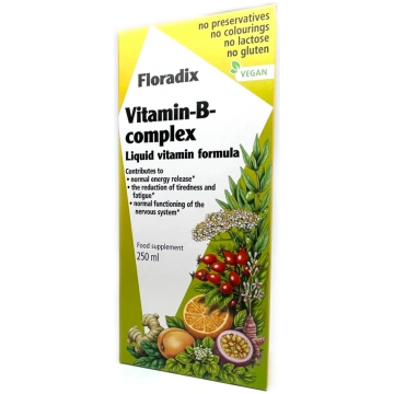 Floradix Vitamin-B-complex 250ml