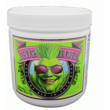Advanced Nutrients Big Bud Powder in Polvere 500 G
