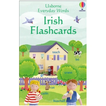 Everyday Words in Irish Flashcards Felicity Brooks