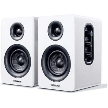 Sanyun SW208 3 collu aktīvais Bluetooth 5.0 plaukt