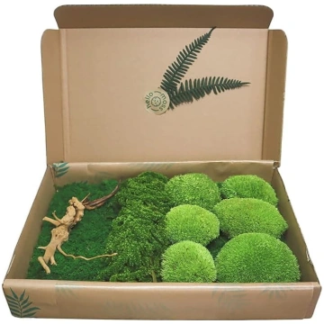 "Hello Moss" sūnas amatniecībai, komplekts, kas sa