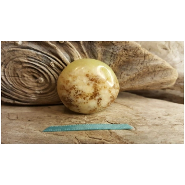 Opāla olis "Plakanais" nr 5. Izmērs 3.5 x 3 cm Zil