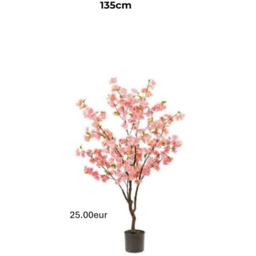 Lietots - Sakura 135cm ( ķiršu koks )