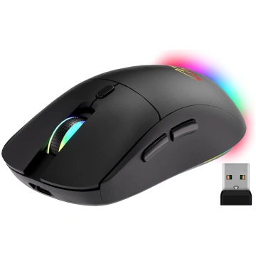 Wireless 2-in-1 Mouse (BT/RF) SILENT & RECHARGE MT