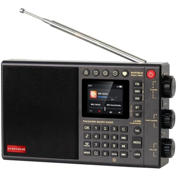 CHOYONG LC90 Interneta radio Profesionāls daudzfun