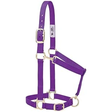 Weaver Leather Basic Adjustable Nylon Halter, Purp