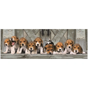 Puzzle Beagles panoráma Clementoni