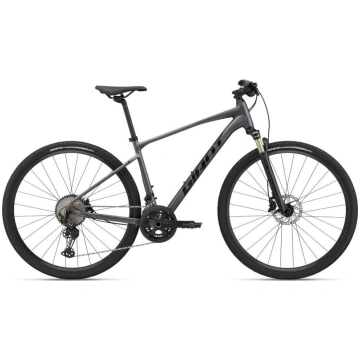 Velosipēds GIANT Roam 0 Disc, Kokogles