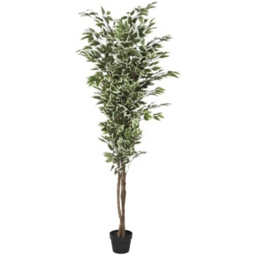 Mākslīgais augs FICUS H180 "IM", Spānija