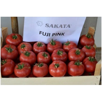 Tomāti Fuji Pink F1 50 s, Tomāti , Dārzeņu sēklas,