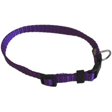 Neilona kaklasiksna suņiem Triera 1.0cm/34cm lillā