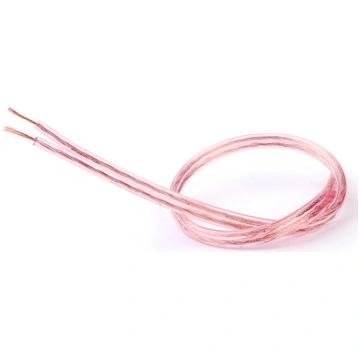Cambridge Audio Symphony 100 (1.0 mm²)