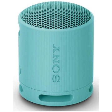 SONY SRS-XB100 – Wireless Bluetooth Portable Speak