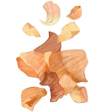 ZANE VELDRE KARTĪTE | LIELDIENAS NR 2