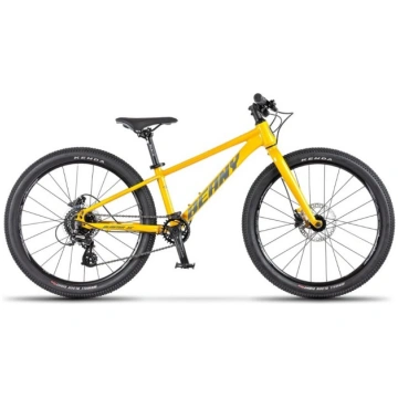 Beany Blaster XC 24 Bērnu Velosipēds