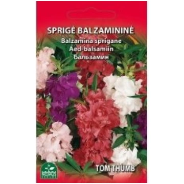 Standart flower Sēklas balzamīne Tom Thumb 0.5g