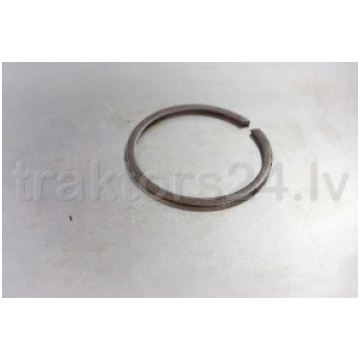 Sprostgredzena balsts 50-1701187