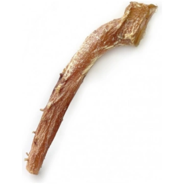 Liellopa aorta - 1gb