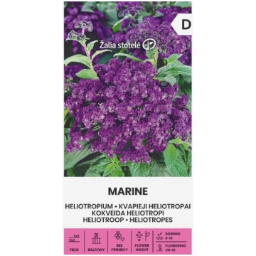 Kokveida Heliotropi Marine Žalia stotelė