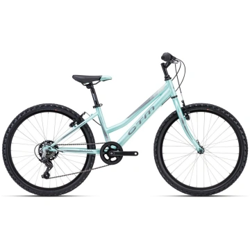 CTM Mony 24''