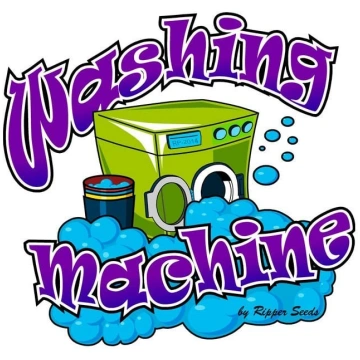 Washing Machine - 5 sēklas