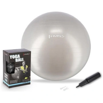 YB01N 65CM GRAY GYM BALL HMS