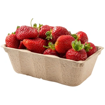 Ogu trauciņš 500 g, 10 gab