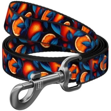 Nylon dog leash, pattern ""Oranges"" length 122 cm