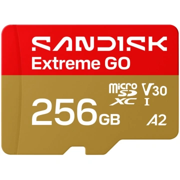 SanDisk Extreme Go - flash memory card - 256 GB - 