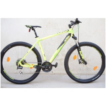 KTM chicago R-29 mtb