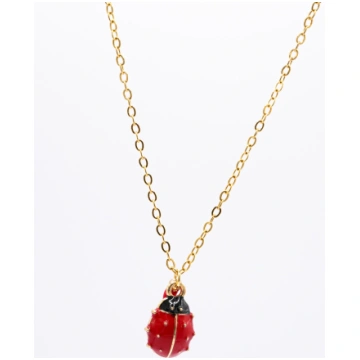 Ladybug Necklace Bijuego