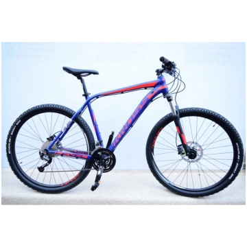 Kross Level B3 (2023)