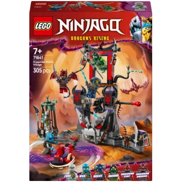 LEGO Blocks 71841 Dragonian Storm Village ( LEGO 7