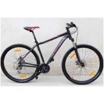 MERIDA BIG NINE R29