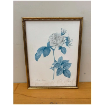 Prints "Ziedi"