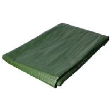 FASTER TOOLS Tents /pārklājs, brezents90g 3x4m