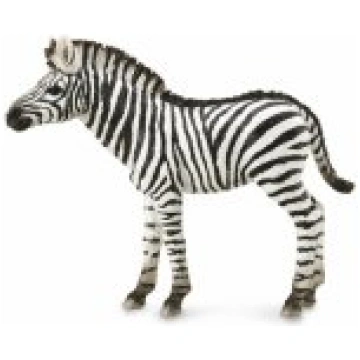 COLLECTA Collecta ZEBRA FOAL figurine 004-88850-CO