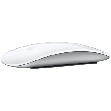 Apple Magic mouse Office Ambidextrous RF Wireless 