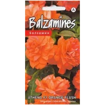 Sēklas Balzamīnes Athena F1 Orange Flash 5s 475012