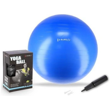 YB01N 55CM BLUE GYM BALL HMS