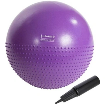 YB03N 55CM VIOLET GYM BALL HMS