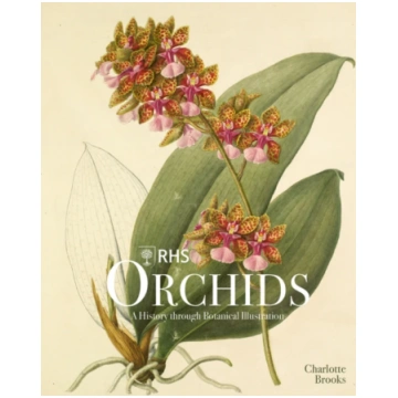 RHS Orchids BROOKS