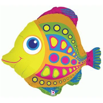 Zivis, Varavīksne, (69 cm) GoDan BP-36853