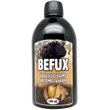Čagas uzlējums ar zemestauku sulu “Befux” 500ml