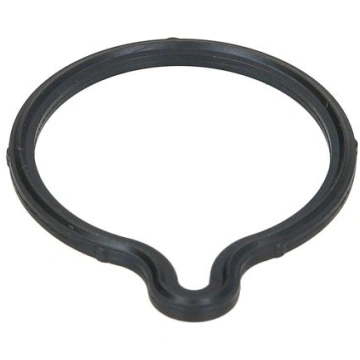 BOSCH Blīve, Degvielas sūknis F 00R 0P0 085